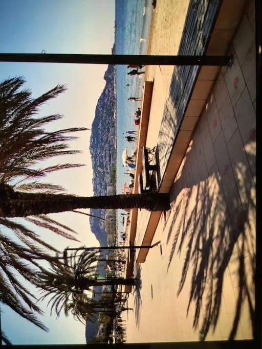 Spacieux Appartement Rose Front Mer Et Piscine Roses Dış mekan fotoğraf